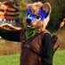 Akeban Bluepaw (@akebanbluepaw) Twitter profile photo Akeban Bluepaw (@akebanbluepaw) Twitter profile photo