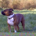 Vicki bryson - @VickiBryson - Twitter