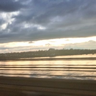 rocketmoneyglob's profile picture. 