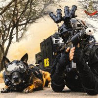 RAHUL_SOLDIER_ (@rahul_soldier_) 's Twitter Profile Photo RAHUL_SOLDIER_ (@rahul_soldier_) 's Twitter Profile Photo