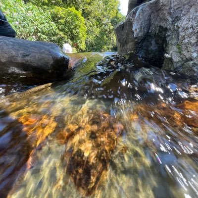 MasterKc37206's profile picture. 