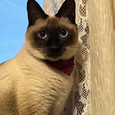 記録的量のラブでI want you!!
pixivにてヤンデレ特化型フリー台本投稿してました。(2024.7月~2025.1月)