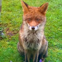 Tadworth Local News (@mandyob45112058) 's Twitter Profile Photo Tadworth Local News (@mandyob45112058) 's Twitter Profile Photo