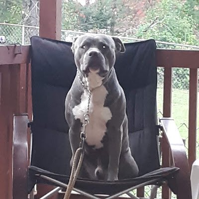 jackhill346's profile picture. 