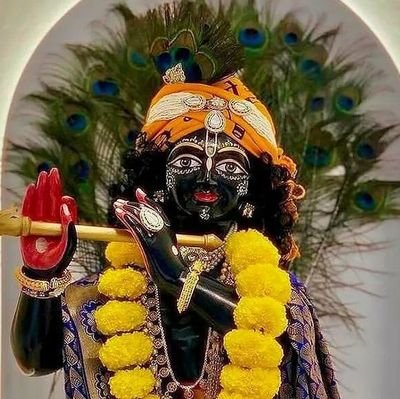 DudhgaonkarS's profile picture. graphic designer