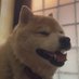 HIROTOMO (@h1rotomo) Twitter profile photo HIROTOMO (@h1rotomo) Twitter profile photo