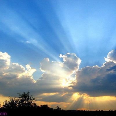 O_Duibhlin's profile picture. Thrills, fun n success
TG grup link⬇️
https://t.co/IRbgjnpVOP