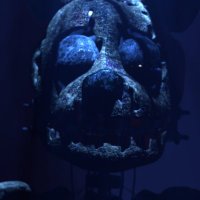 CG Animates (@cg_animates) 's Twitter Profile