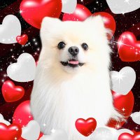 うまずき (@makahikiwikiwik) 's Twitter Profile Photo うまずき (@makahikiwikiwik) 's Twitter Profile Photo