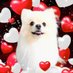 うまずき (@makahikiwikiwik) Twitter profile photo うまずき (@makahikiwikiwik) Twitter profile photo
