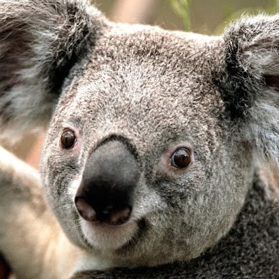 mpfeija's profile picture. 