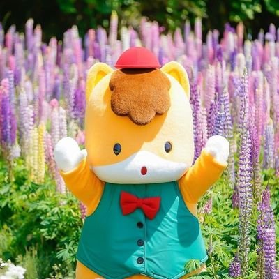 iCr9GziYxzimty0's profile picture. グングン群馬のぐんまちゃん🐴