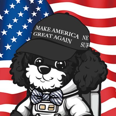 Marvin is so ready to spread #DarkMAGA for daddy, even on Mars. Glory to the martians! ca: 0xfcb76721c682526559dc4f073dee7127c72fa989