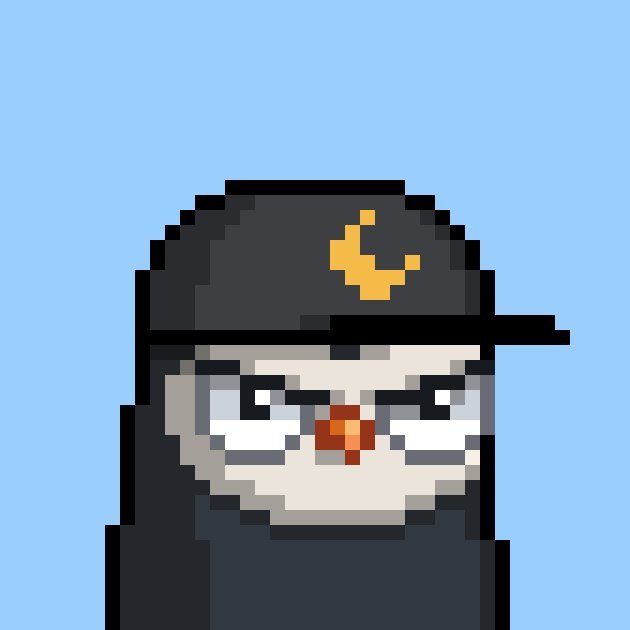 KellyPirruccio's profile picture. 