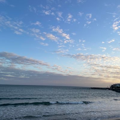 syuto09's profile picture. 