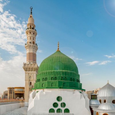 weal_khalil's profile picture. 