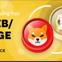 cheby.NYAN🔫😼🐉 $MON🕹️ $RCADE (@crcade17379) 's Twitter Profile
