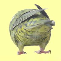 ましみ (@umashimi) 's Twitter Profile