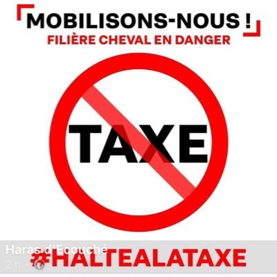 Marycat14094098's profile picture. HARAS DE LA POTARDIERE