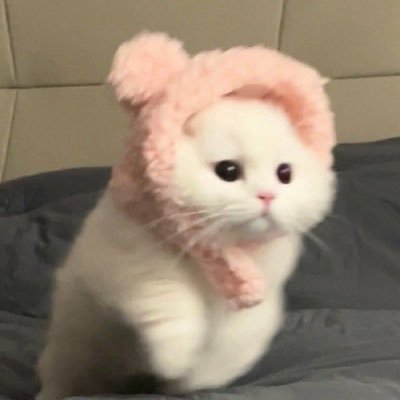 버블티🧋さんのプロフィール画像