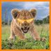 Emmanuel Dada.sign🧡👀 (@emmanuelda26818) Twitter profile photo Emmanuel Dada.sign🧡👀 (@emmanuelda26818) Twitter profile photo