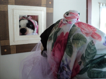 flordearabia's profile picture. 