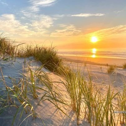 jdjfhfhfhfhf30's profile picture. 🇺🇸🇺🇸🇺🇸