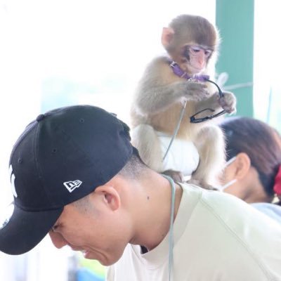 rsk_1614's profile picture. 自称日本一筋肉バカなお猿好き💪モン民✨あらし推し🍼インスタ→@ ryo.monkey YouTube→りょーとれ　お猿好きな方よろしくお願いします！
