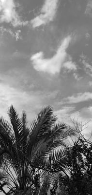 hoping to survive the war in Gaza | Bridging NGOs, Project MGMT, MEAL, Education, Business, Executive Leadership, AI, and Luxury Brand MGMT