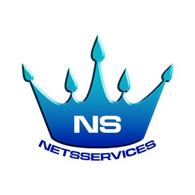 Netsservices Profile