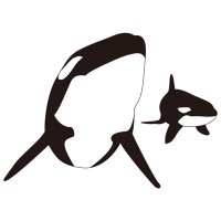 ココ (@cocoa_ty2) 's Twitter Profile
