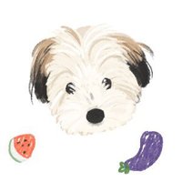 똥크림 (@cream_mousse_) 's Twitter Profile