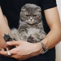 macchiato (@kopitext) 's Twitter Profile Photo macchiato (@kopitext) 's Twitter Profile Photo