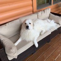 Elizabeth Bloomer (@bethbloomer12) 's Twitter Profile