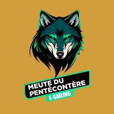 lmdp_esailing's profile picture. Team esailing La Meute Du Pentécontère🐺@VirtualRegatta #lameutedupentécontère #VROffshore