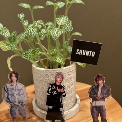BE:FIRST☆MAZZEL☆ラスピ SHUNTO🧢JUNON🐢TAKUTO🍓ライキ💋BMSGみんな好き🥹8/9Luckyフェス▶︎8/23.8/24MAZZEL有明▶︎9/28BMSGフェス