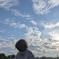 キャロライン (@step72375337) 's Twitter Profile
