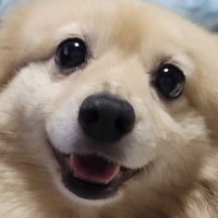 荻野純⋈ (@ogino_jun) 's Twitter Profile Photo