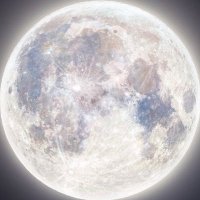 𝒸 (@14bs9_orix) Twitter profile photo