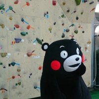KABuno@配当金で生活したい/育児👶/NISA💰/株主優待🇯🇵 (@dominicauno) 's Twitter Profile
