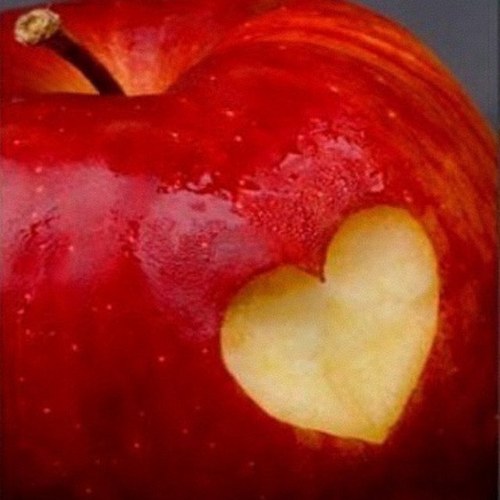 mayed9998's profile picture. 