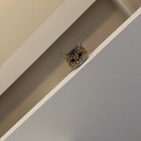 Olasunkanmi (@armolas_06) 's Twitter Profile
