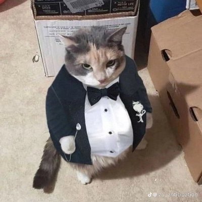 Agent_Noobz's profile picture. 🍌🦍