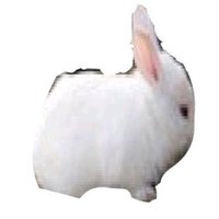 토끼 한 마리 획득 (@sleep55sleep) 's Twitter Profile