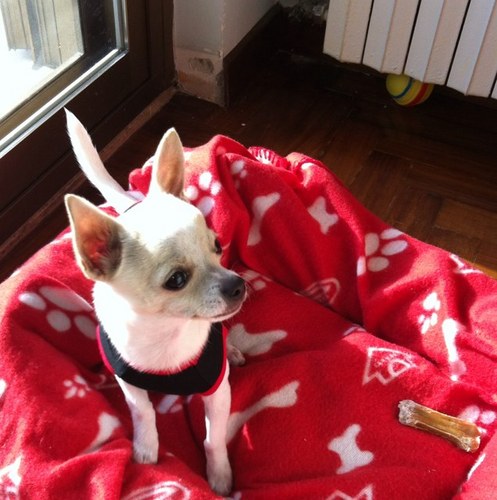 bilotta_elisa's profile picture. 