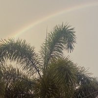 Raymond Moss//Sales/Marketing (@manimal_team) 's Twitter Profile