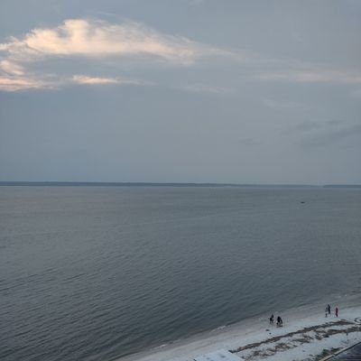 C81Jj83310's profile picture. 