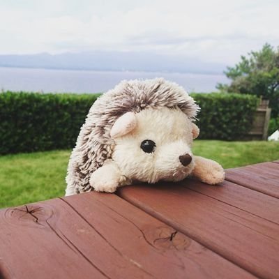 1B1IxalOfCm2svo's profile picture. WEST.さんが好き。黄色が濃いめのはまじゅん担。歳はしげちゃんと照史くんの真ん中あたり。

あっちこっちに好きがたくさんあるので、WESTさん以外のこともよく喋ります。