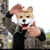 tridog (@tridog) Twitter profile photo tridog (@tridog) Twitter profile photo