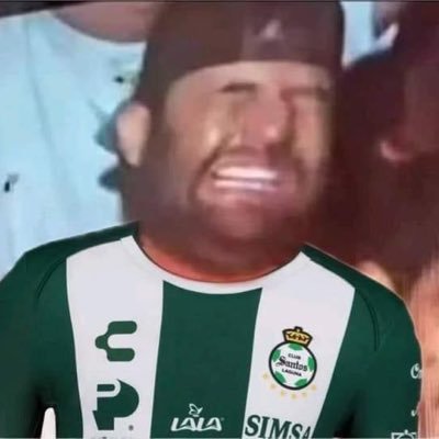 Polarbeat46872's profile picture. Arriba el llantos perritas